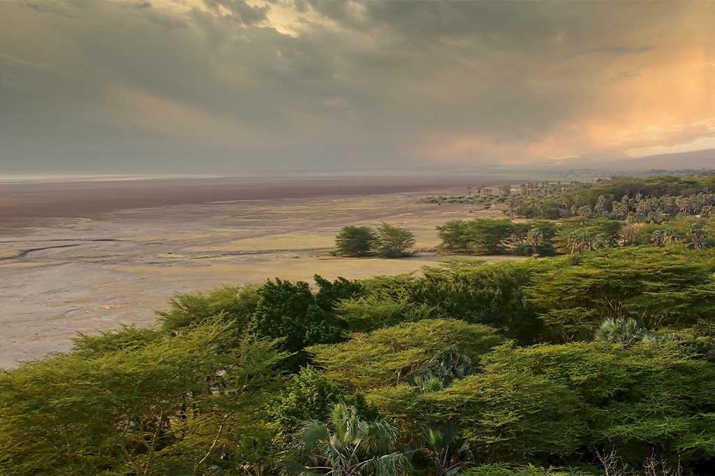 Lake Eyasi cultural tour cost